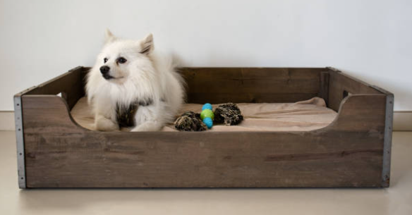 cama de madera para un perro